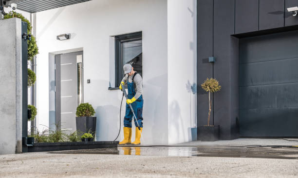 Best Soft Washing  in Belhaven, NC